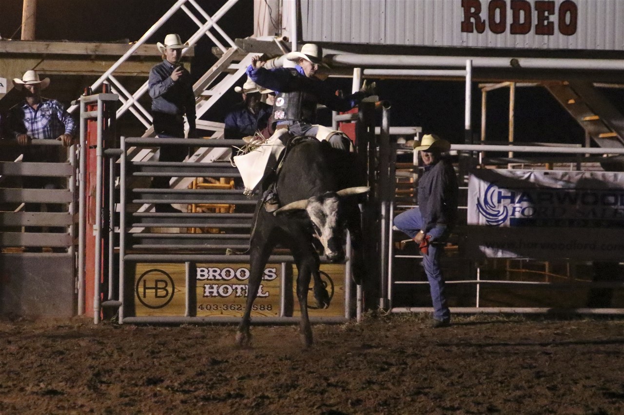 Open Bull Riding Under the Lights $5000 added Friday Night